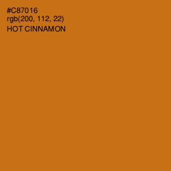 #C87016 - Hot Cinnamon Color Image